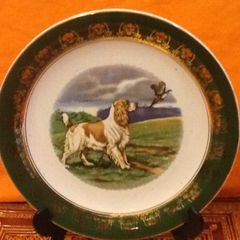 Cocker Spaniel Display Plate