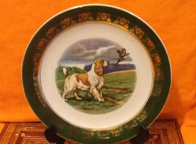 Cocker Spaniel Display Plate