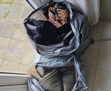 woman coat