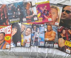 Wwf Magazines 2000