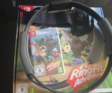 Nintendo fit adventure ring