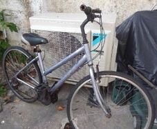 lady bike for  sale