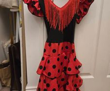 Spanish flamenco dressup costume