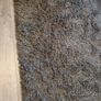 rug Image 2
