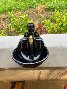 automatic drinker