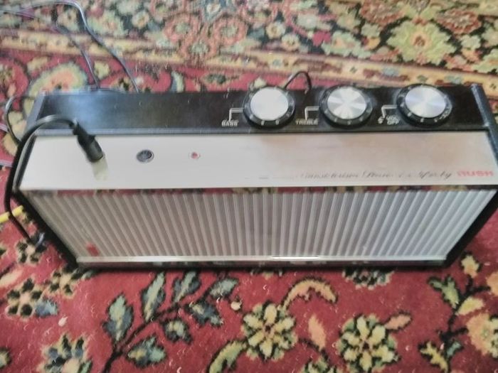 Vintage Bush Amp