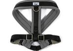Viva Padded Harness. Size: Large