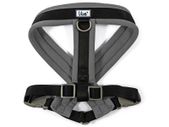 Viva Padded Harness. Size: Large