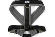 Viva Padded Harness. Size: Large