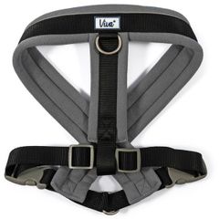 Viva Padded Harness. Size: Large