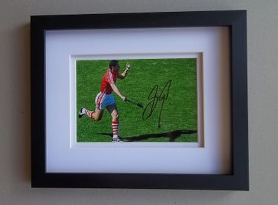 Sean Og O Hailpin CORK GAA autograph