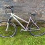 Bicycles Image 6