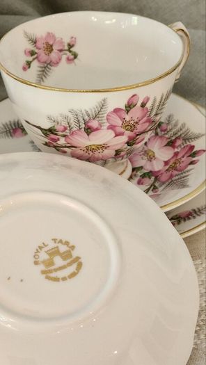1960s Royal Tara Galway Fine Bone China Tea Set Wild Rose & Fern