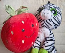 Free teddies