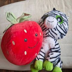 Free teddies