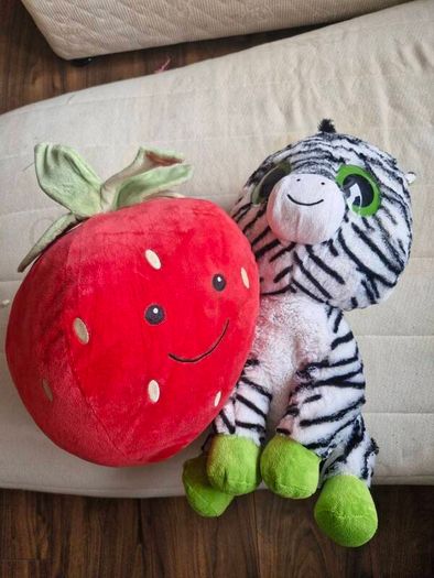 Free teddies