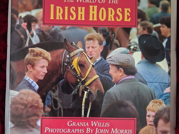 The World of The Irish Horse / 1992