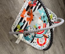 Fisher-Price Baby Activity Gym/Play Mat