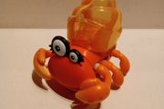 Xia Xia Pets Trinidad Hermit Crab 2011