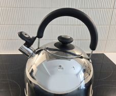 Meyer Stainless Steel Whistling Stovetop Kettle