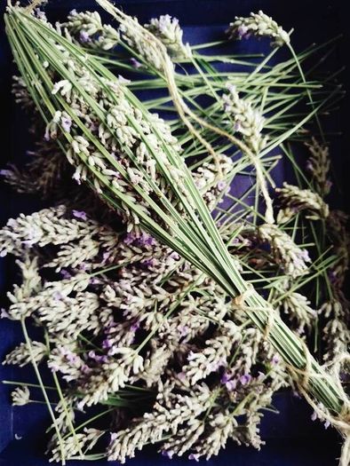 Handmade Lavender Wands