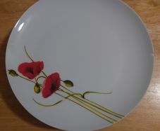 Plates ,bowls, cups, water bottles