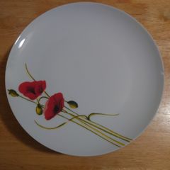Plates ,bowls, cups, water bottles