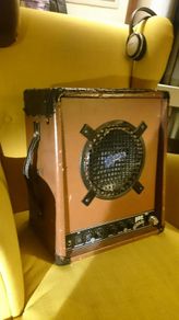 PIGNOSE 30watt busking amp