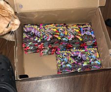 Pokemon pitch black 45+ packs