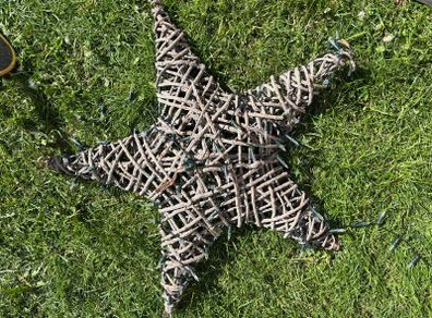 Christmas Star
