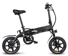 FIIDO D1 Mini Folding Electric Bike