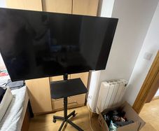TV with a pedestal stand
