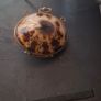Antique Shell Trinket Pill Image 3