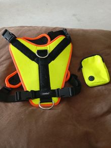 dog harness