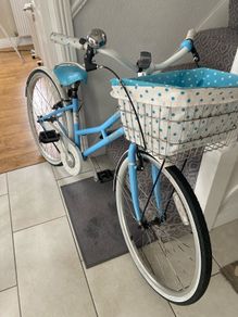 ladies bike