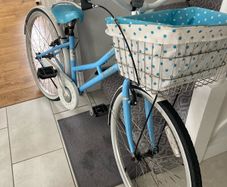 ladies bike