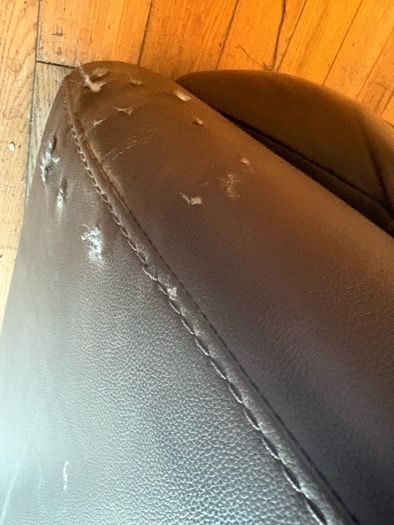 harvey norman leather suite