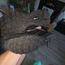 trainers UK 11.5 Image 2