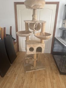 cat tree