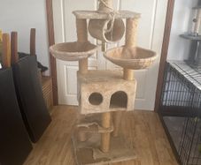 cat tree