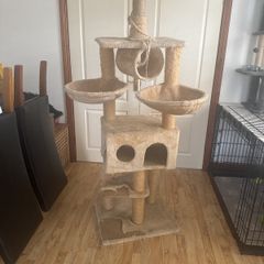 cat tree