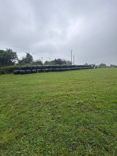 Hay & Silage