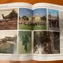 History Book:'Royal Marine Commando' Image 8