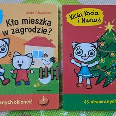 Book Kicia Kicia z okienkami