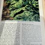 Vintage Marshall Cavendish - Grow Your Own Fruit / Vegetables Part 1&2 Image 6