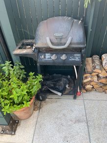 bbq