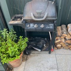 bbq