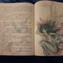 Lady Cottingtons Pressed Fairy Book Image 5