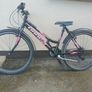 Girls bicycle 17" Drag hacker Image 4