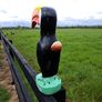 Large  Guinness  toucan Image 3